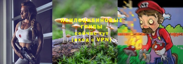 мет Аркадак