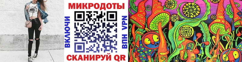 купить наркотики сайты  Светлогорск  Галлюциногенные грибы мицелий 